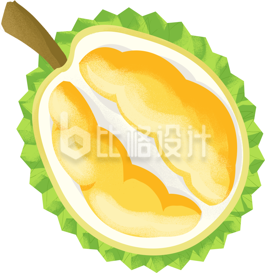 榴莲水果植物手绘