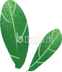 树叶植物绿色