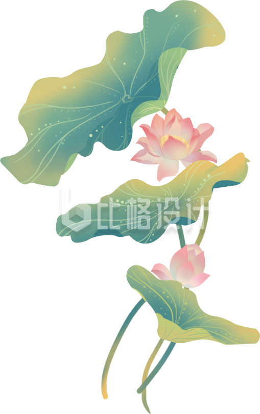 荷叶花植物手绘
