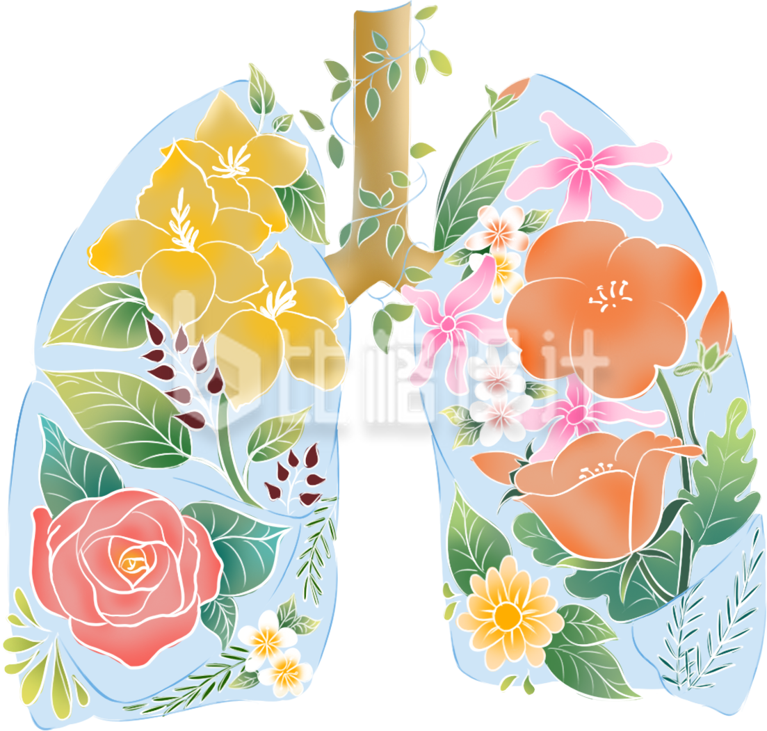 肺部鲜花植物手绘