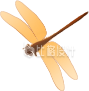 蜻蜓昆虫手绘