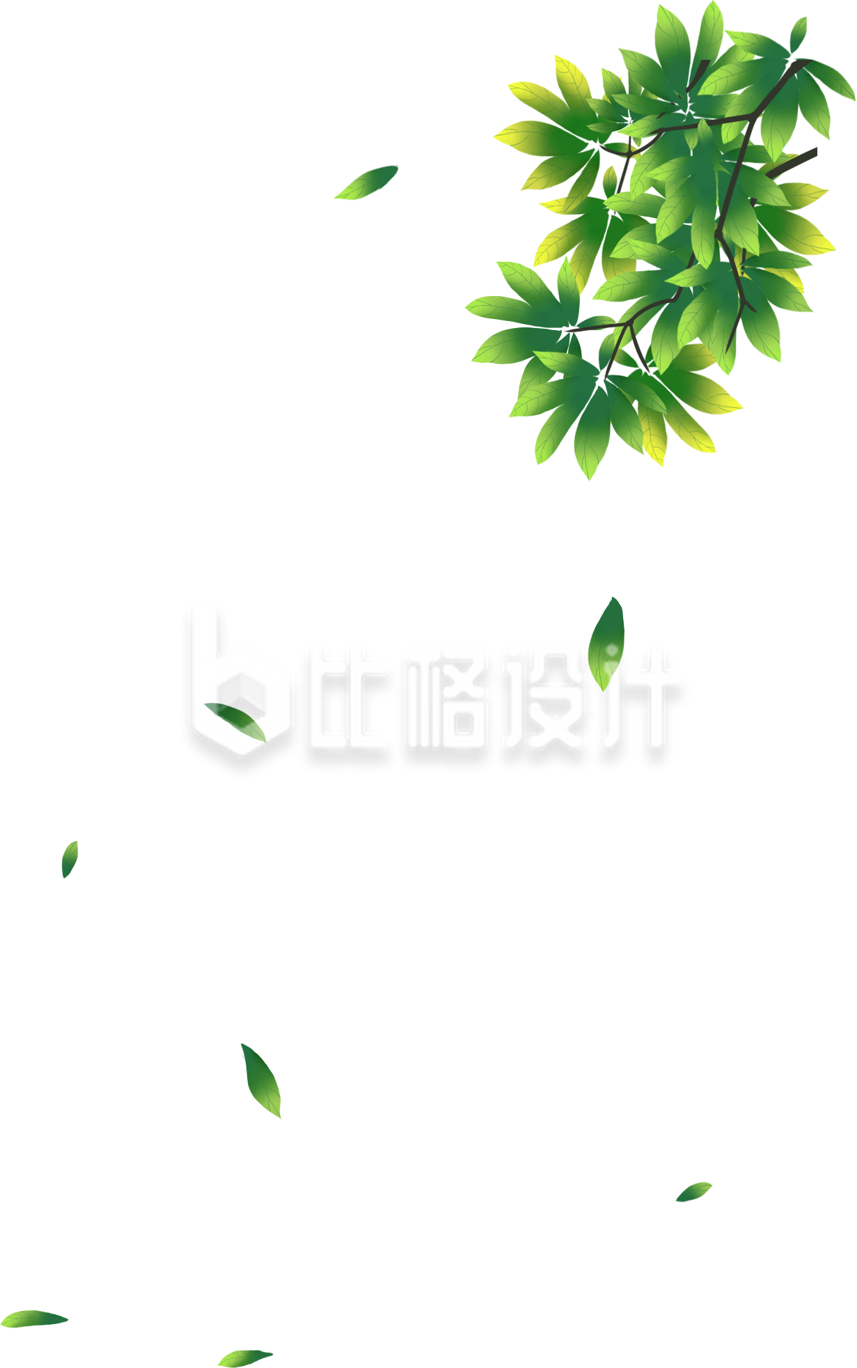 树叶树枝植物手绘