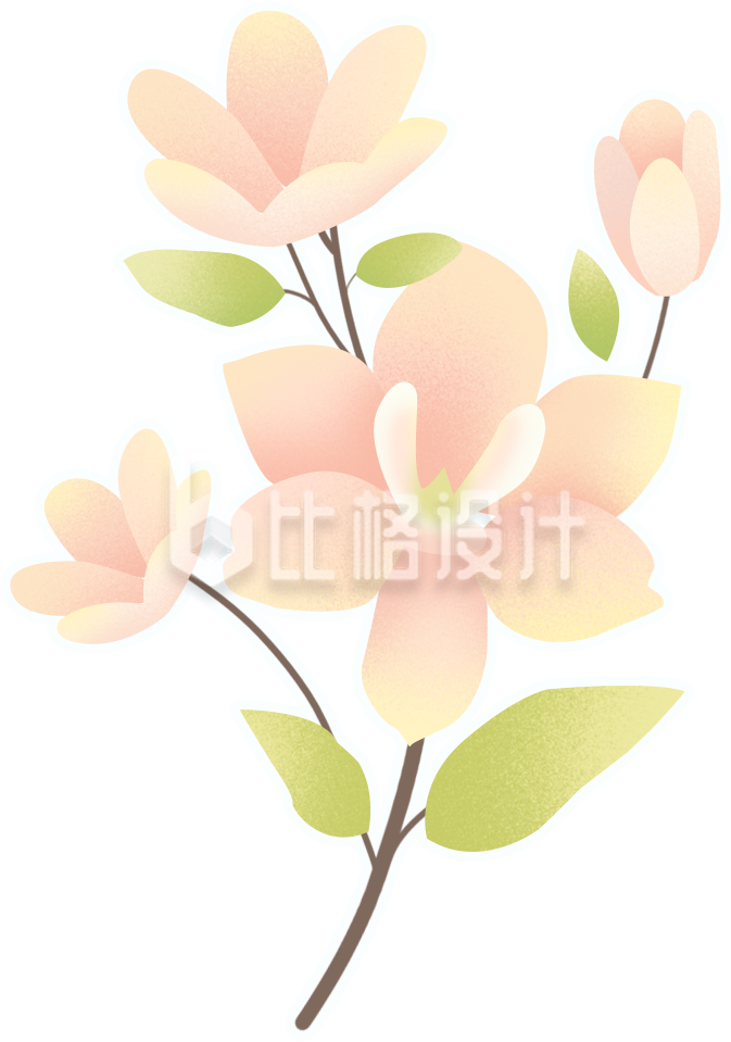 小花植物插画