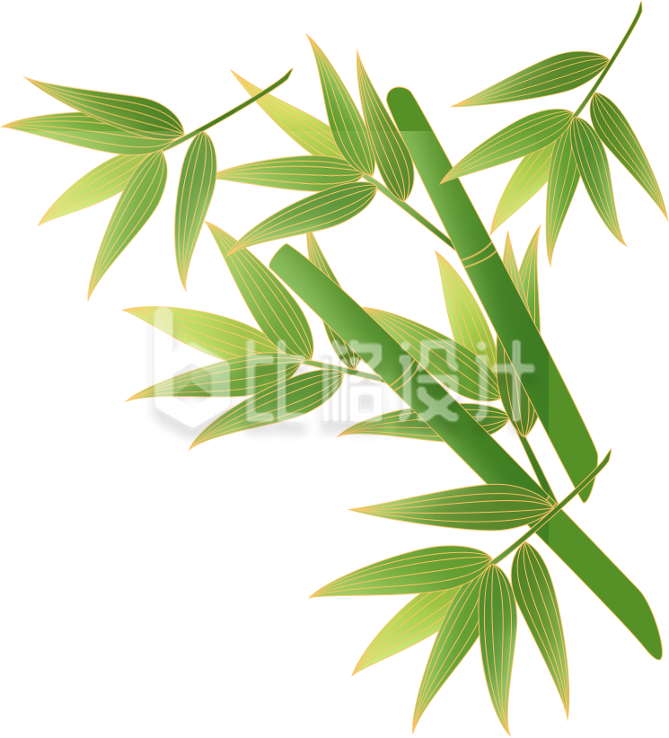 竹子植物手绘