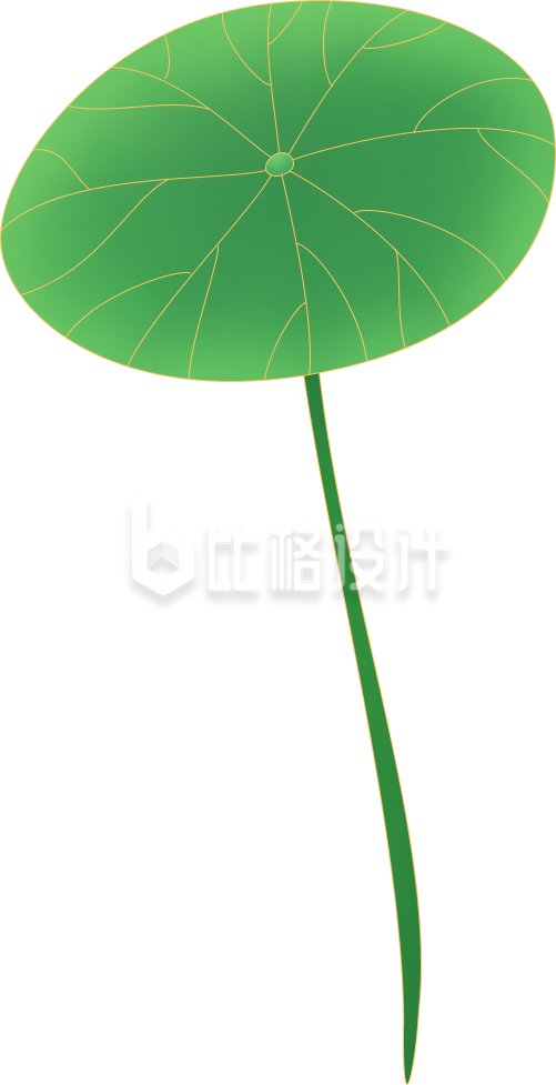 荷叶植物手绘