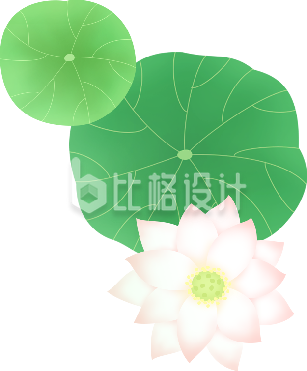 荷花植物手绘夏天