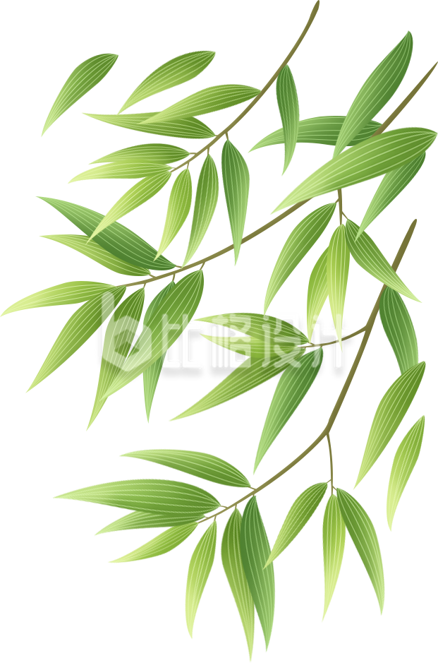 竹子植物手绘绿色