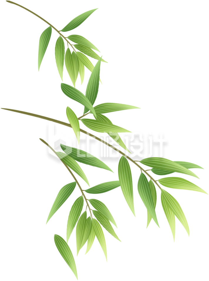竹子手绘植物