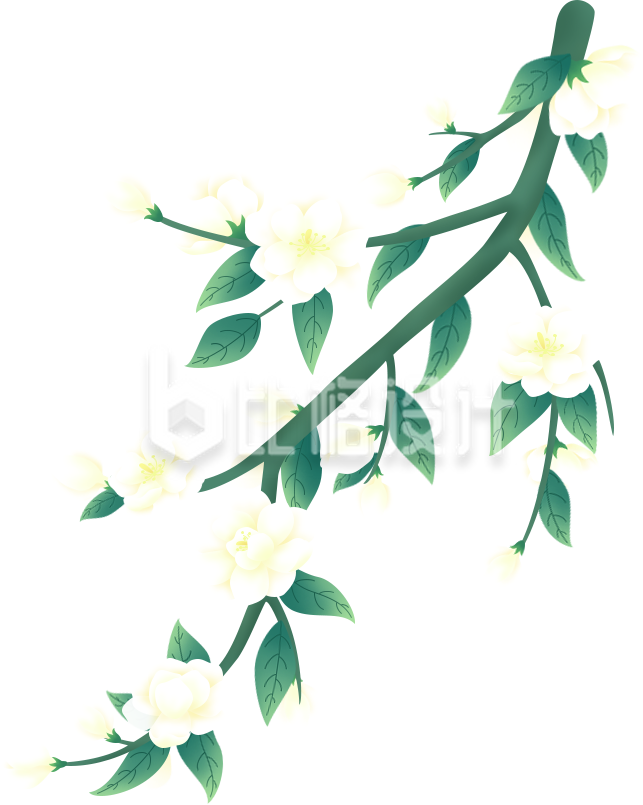小花植物手绘插画