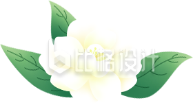 小花植物手绘