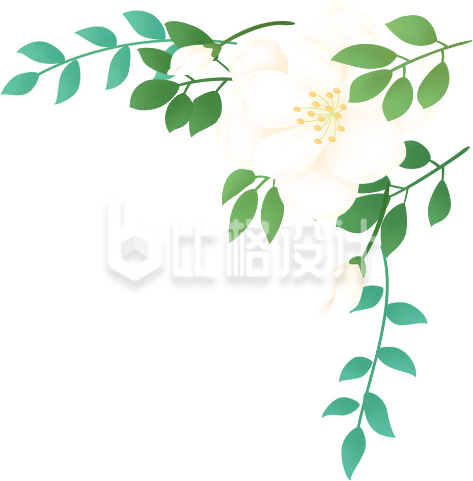 白色小花植物手绘插画