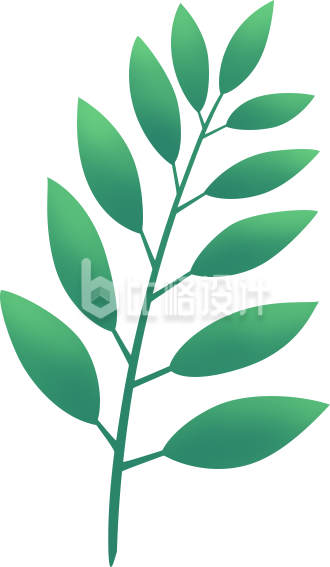 植物树叶手绘插画
