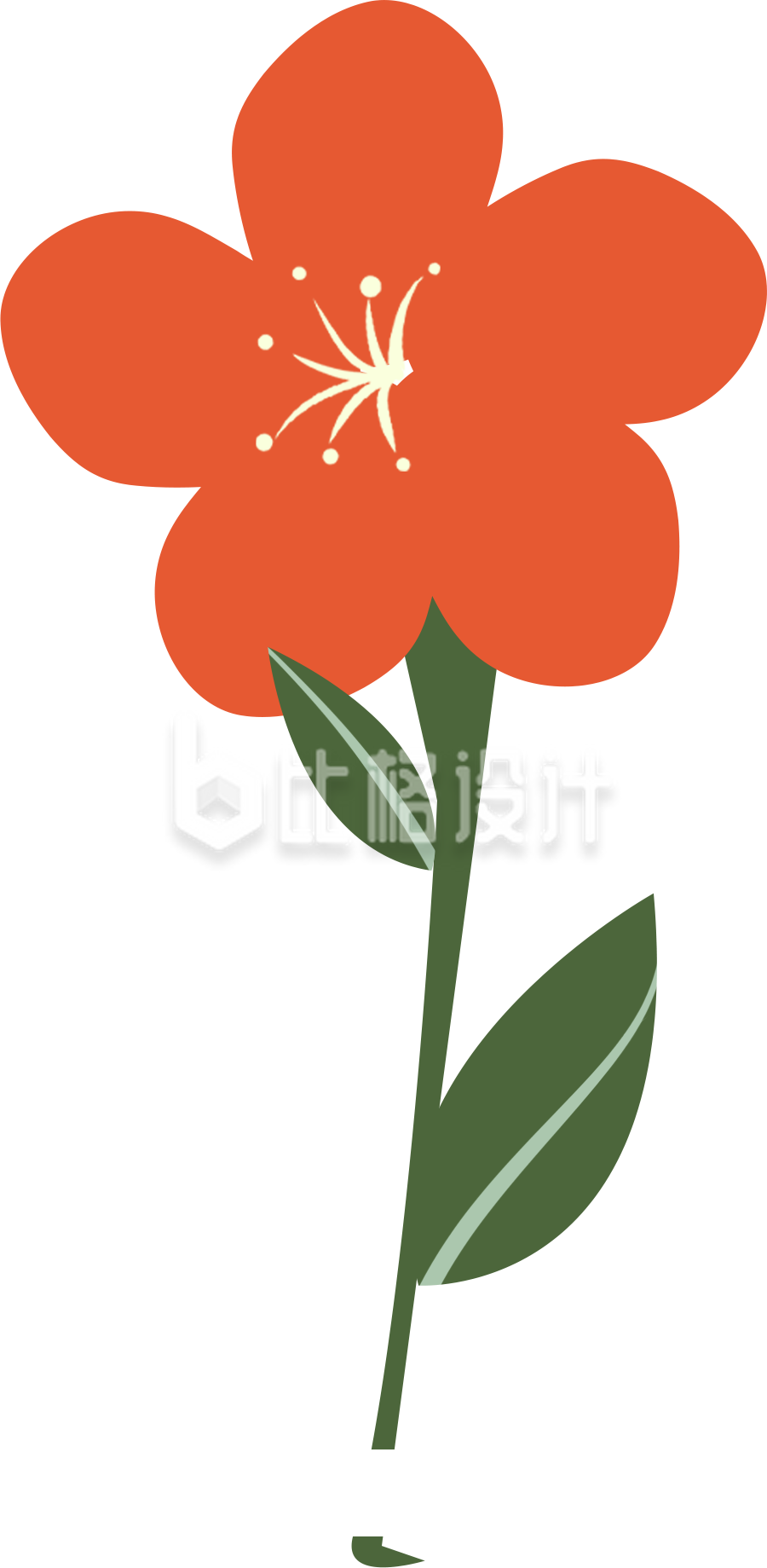 小花植物手绘