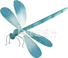 蜻蜓昆虫手绘