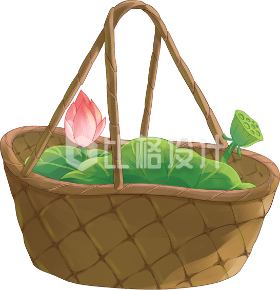 篮子莲蓬植物手绘