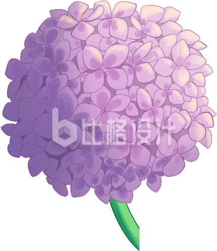 小花植物手绘插画