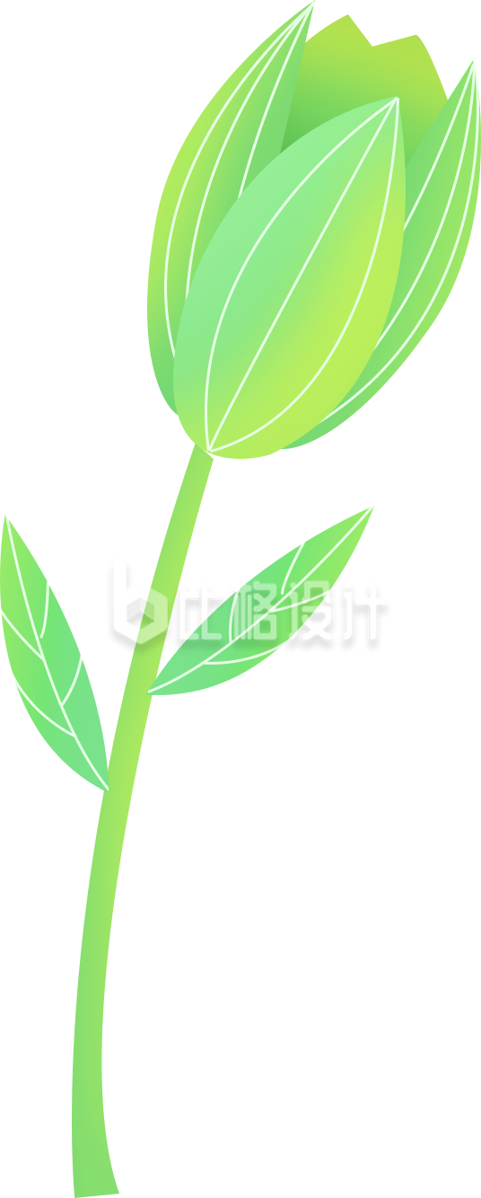 小花植物手绘
