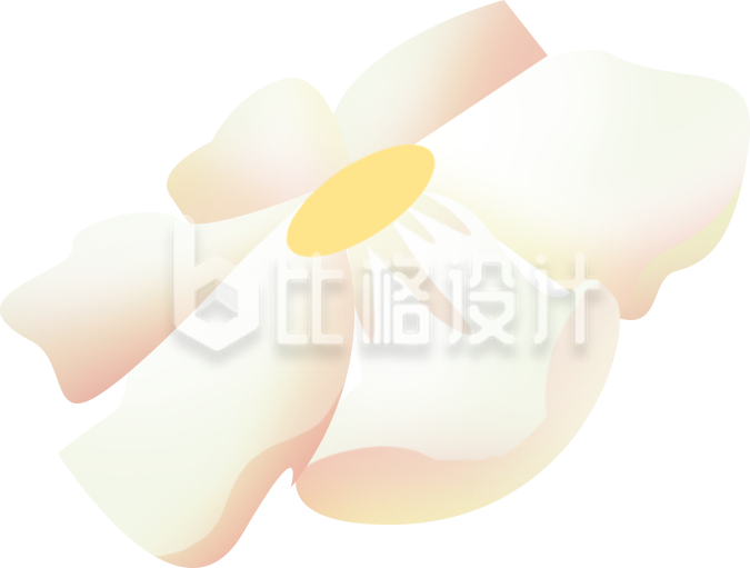 小花手绘插画