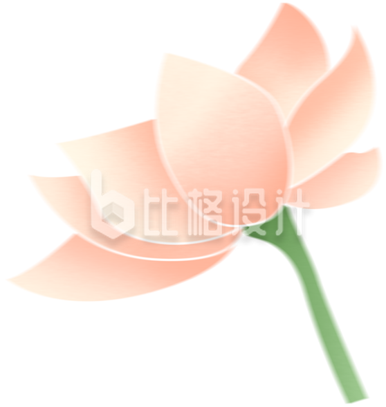 小花植物手绘