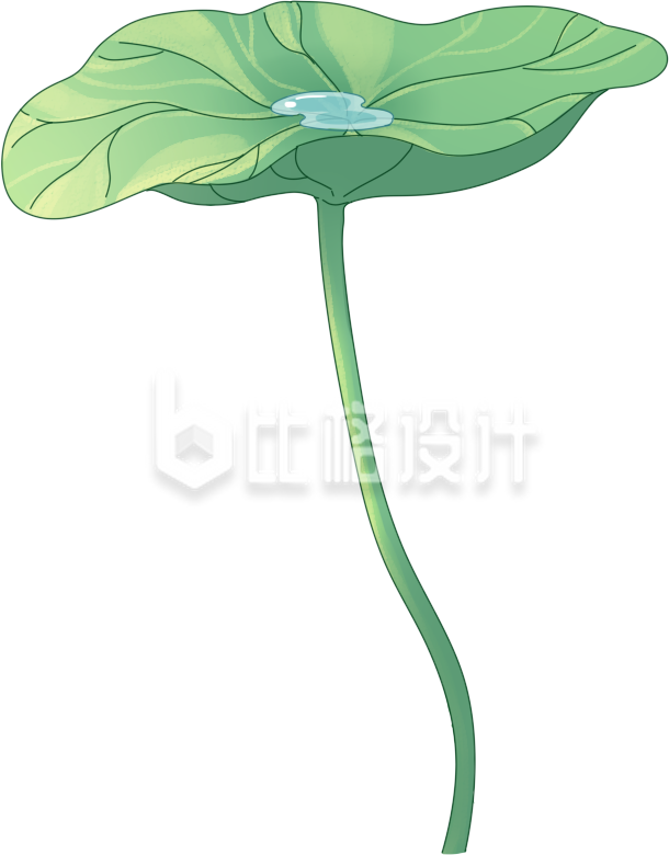 荷叶植物手绘夏天