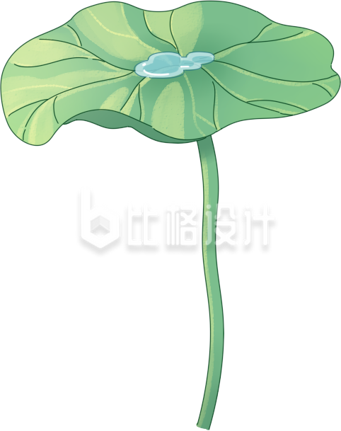 荷叶植物手绘夏天