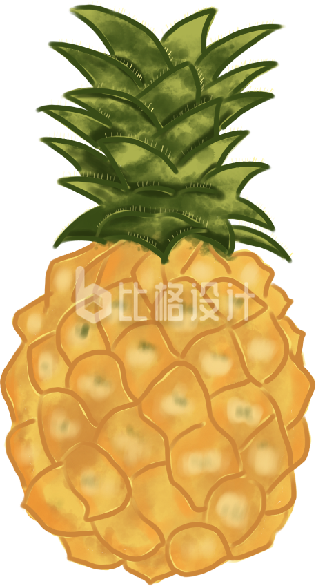菠萝水果手绘