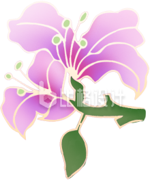 鲜花植物手绘