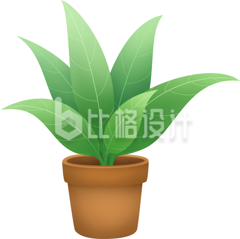 植物盆栽手绘
