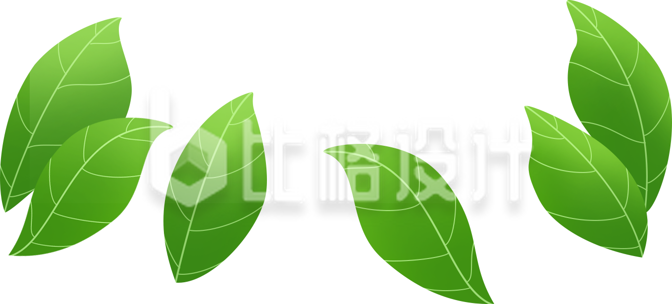 树叶植物手绘