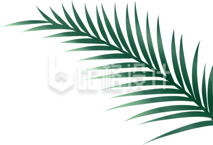 树叶植物手绘