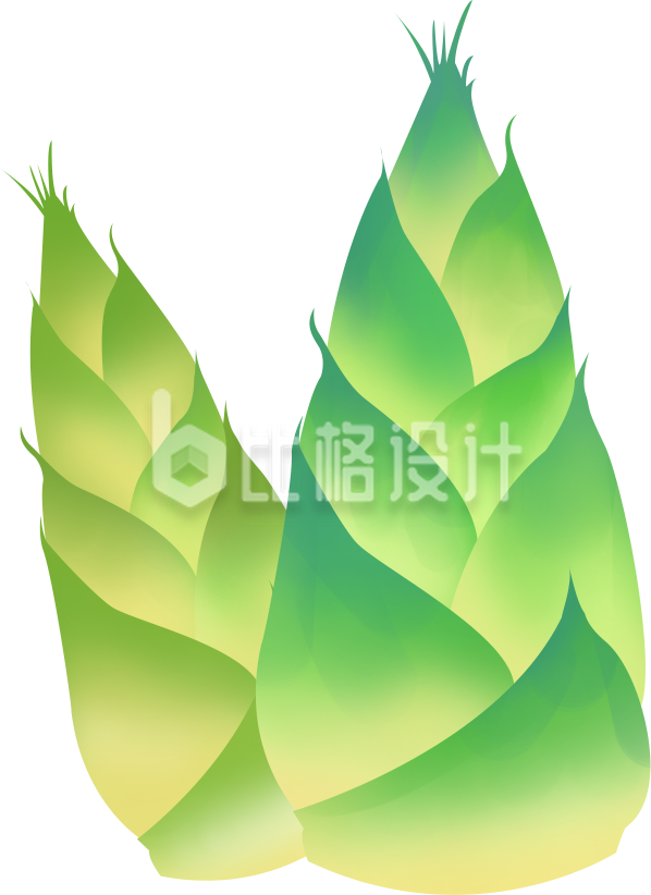 笋子蔬菜