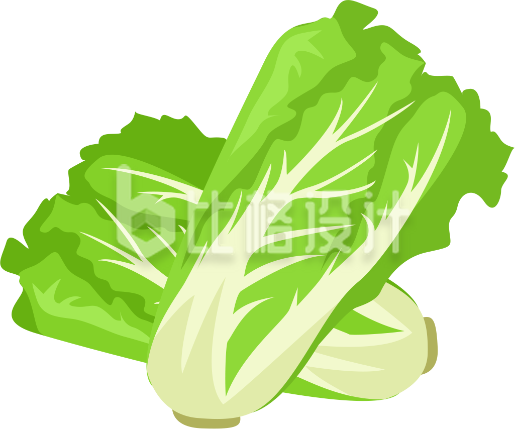 白菜蔬菜手绘