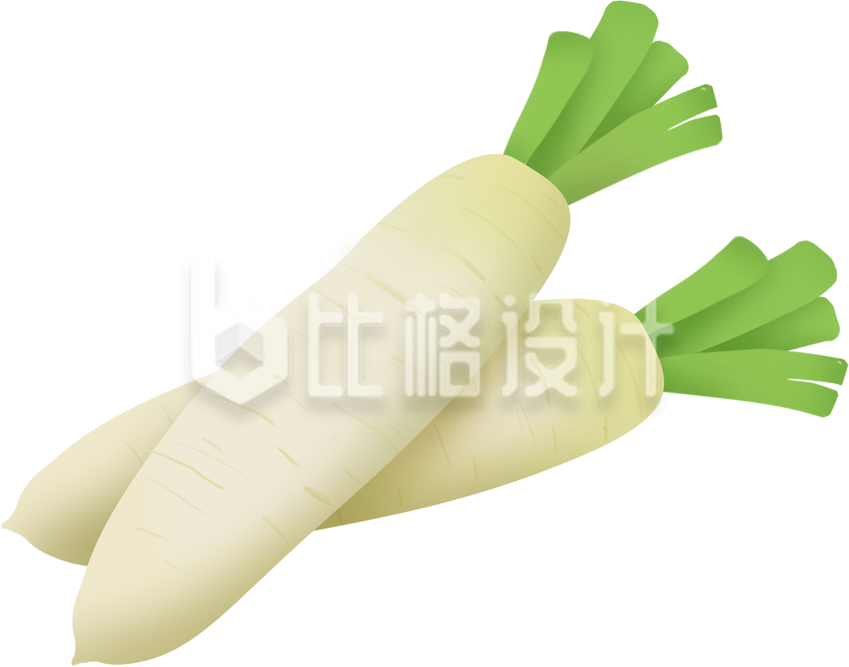 蔬菜白萝卜手绘