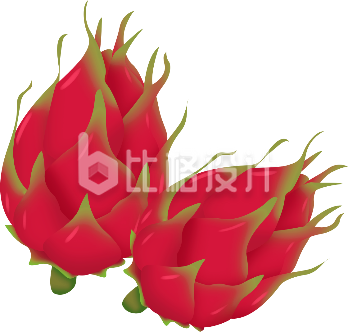 火龙果水果手绘
