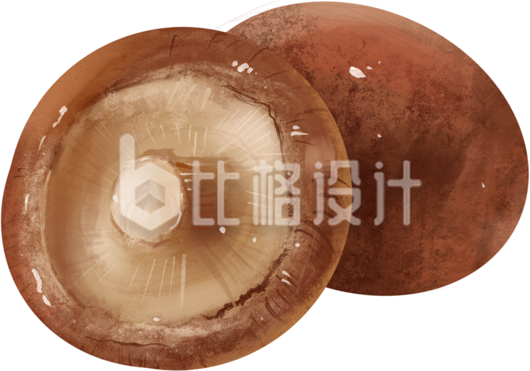香菇蔬菜手绘