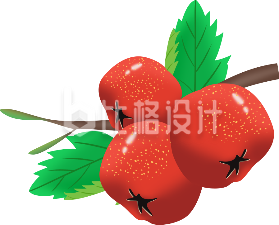 山楂手绘水果