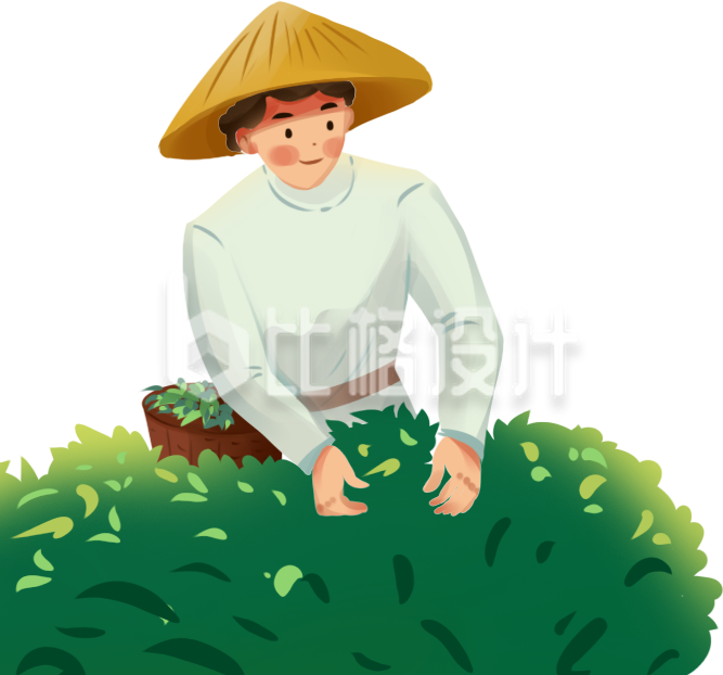 劳动男性树叶