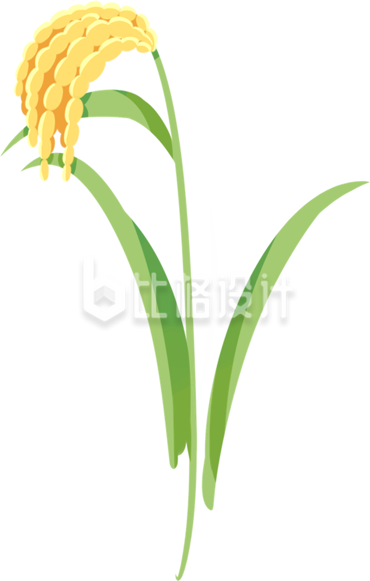 粮食手绘水稻