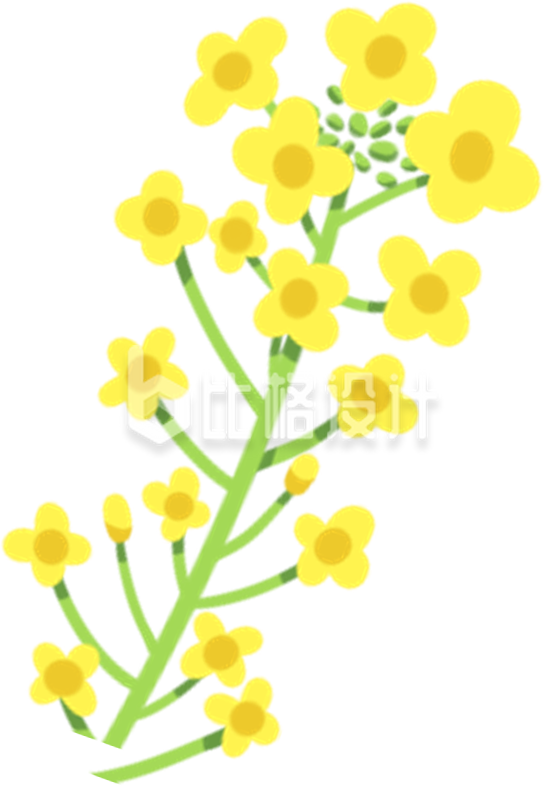 小花手绘植物