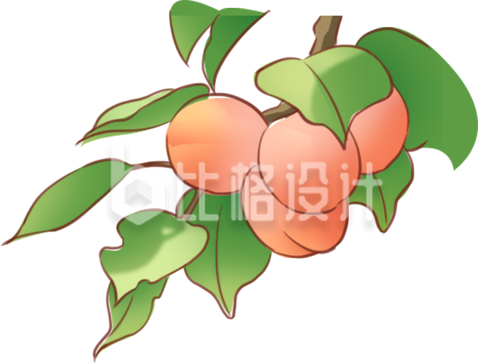 水果桃子手绘植物