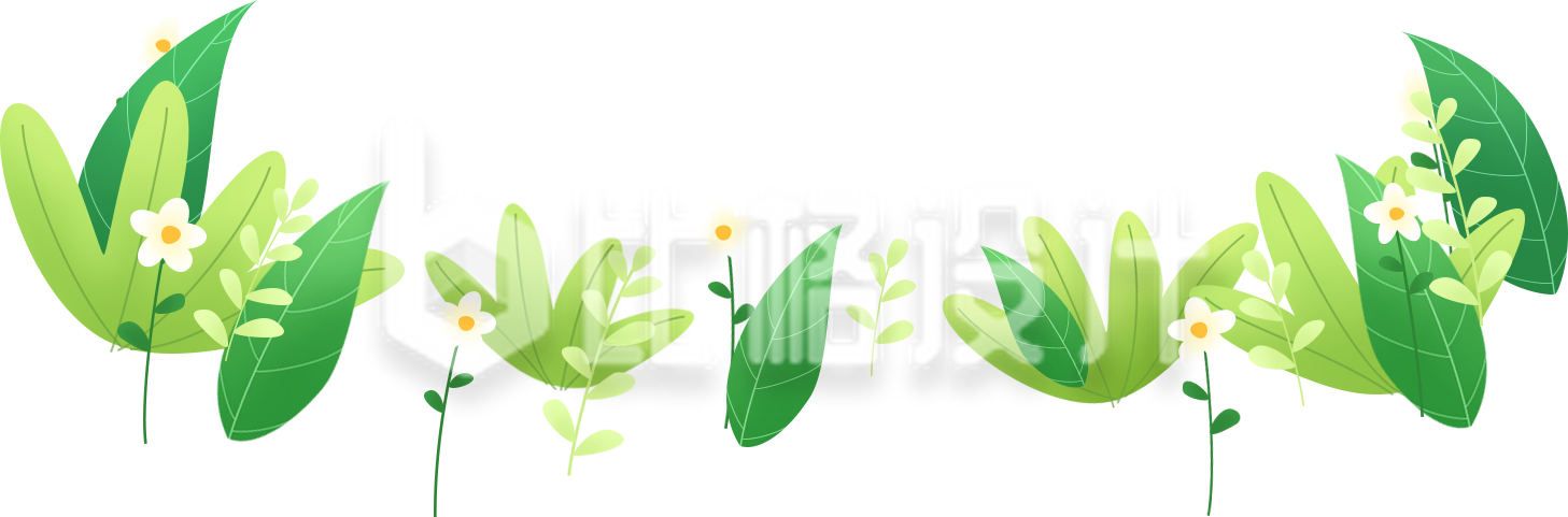 植物小花手绘
