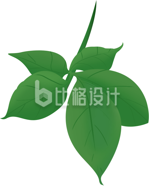 树叶植物