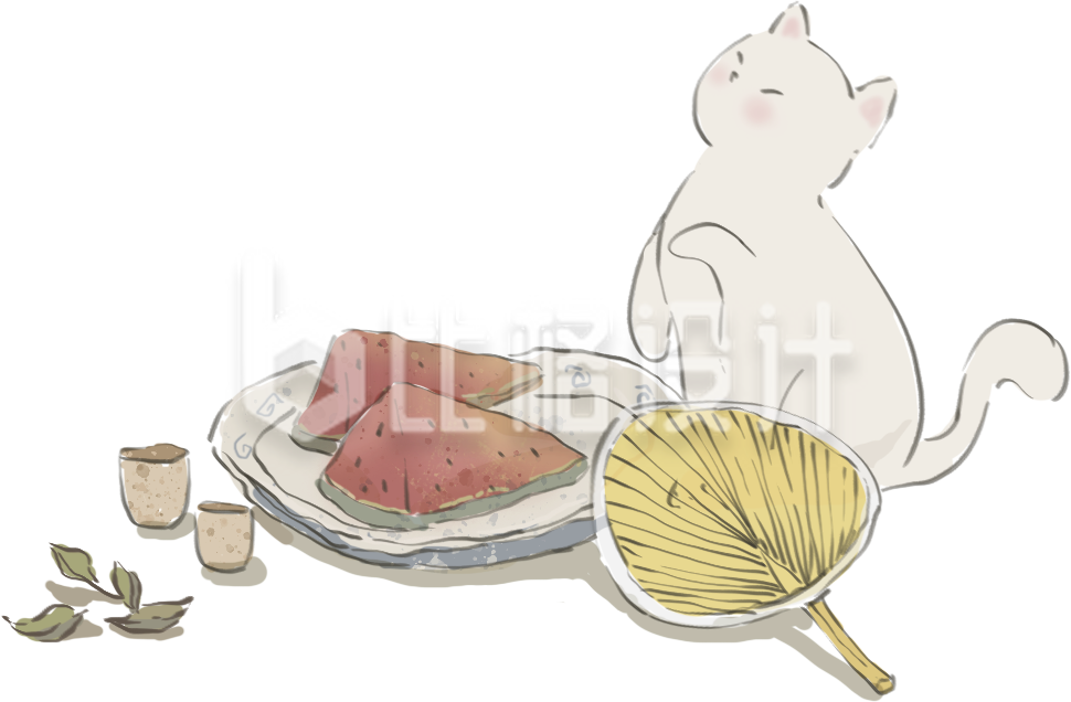 西瓜夏天猫咪