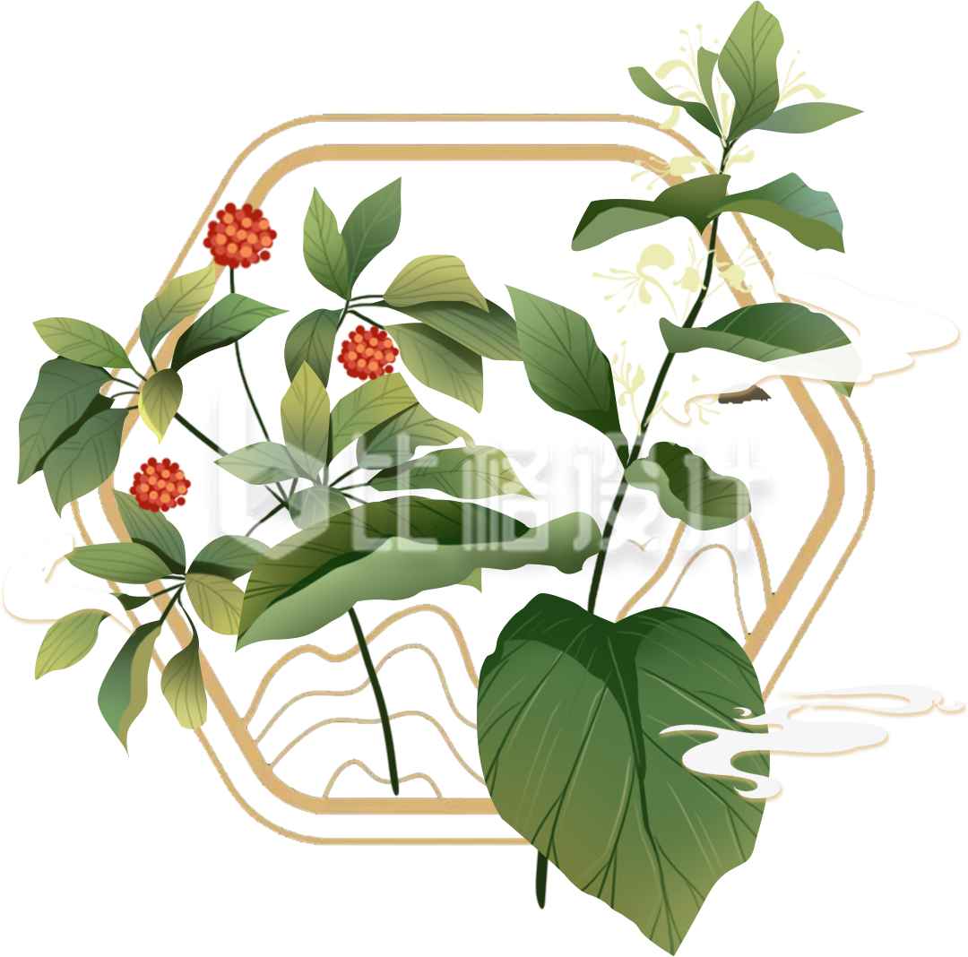 中草药手绘植物