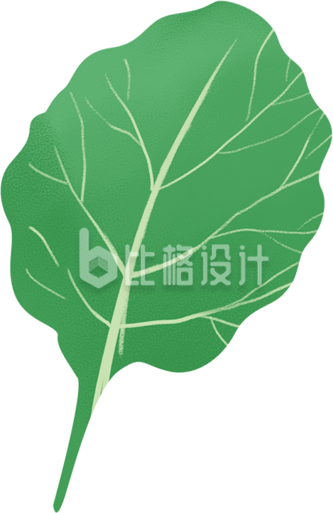 蔬菜手绘