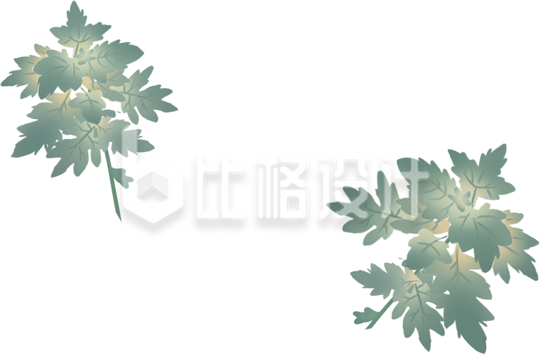 树叶植物手绘