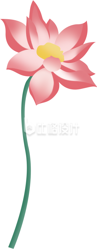 粉色手绘荷花