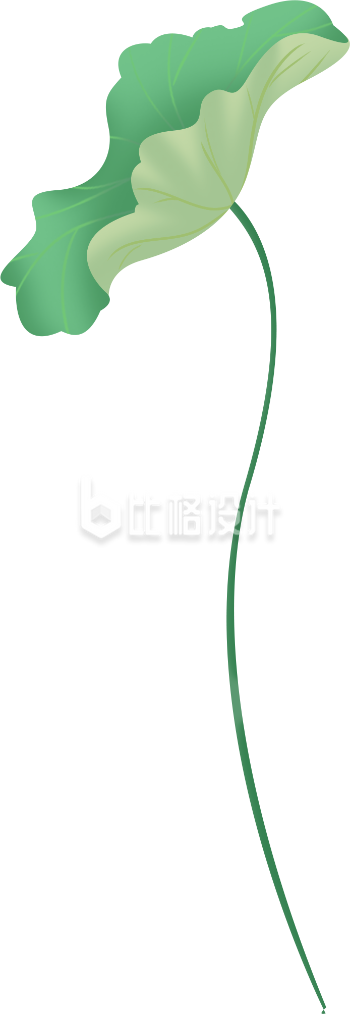 荷叶夏天手绘