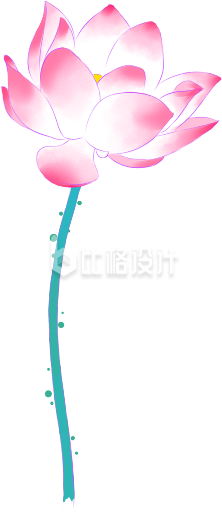 粉色荷花手绘
