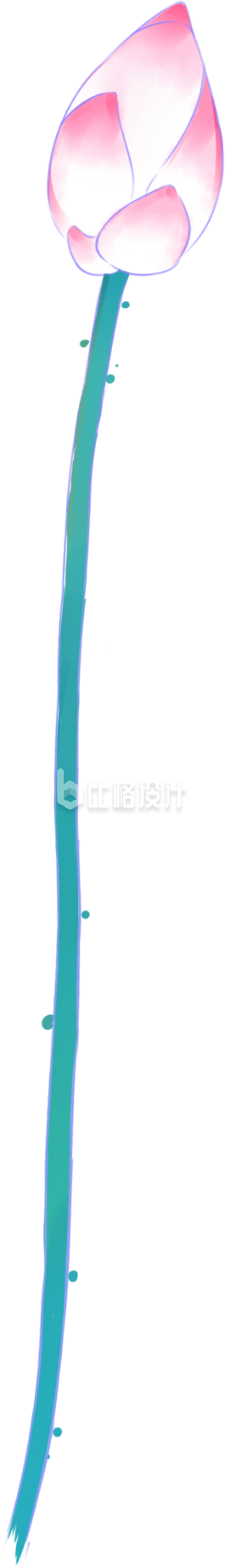 粉色手绘清新荷花